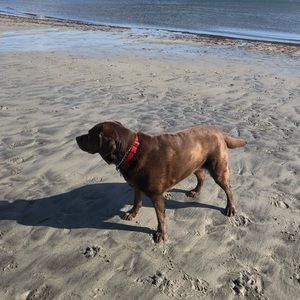 Meet your Posher, Judy